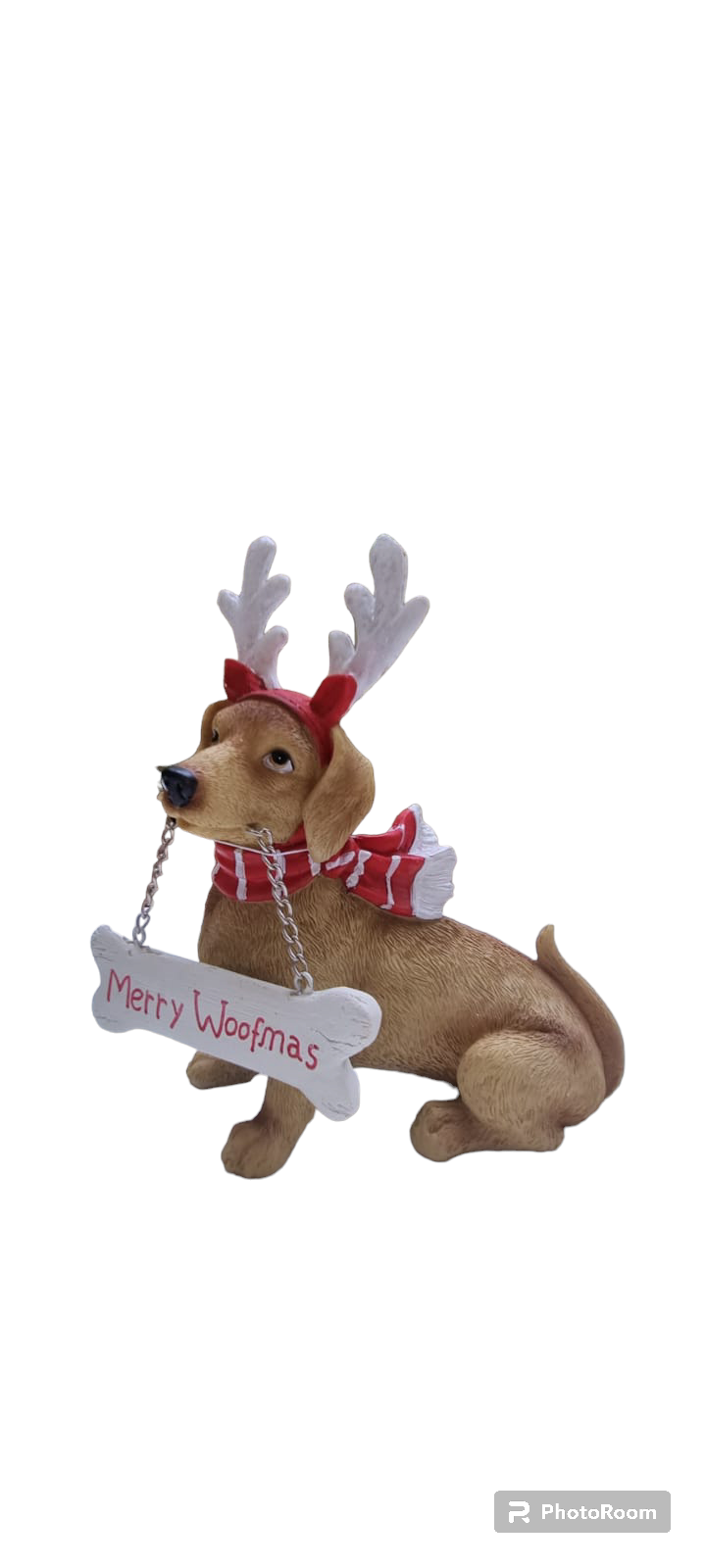 Cane scritta 'merry woofmas'